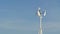 Vertical wind turbine on blue sky background , full HD.