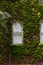 Vertical window surrounded in overgrown ivy