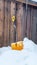 Vertical Yelllow snow shovel against snowed in ground and brown wooden wall of building