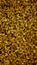 Vertical Yellow or gold leaf wall texture for backdrop design and eco wall and die-cut for artwork