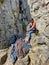 VERTICAL: Young female climber sitting on a rock ties up her climbing shoes.