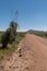 Vertical,Yucca along the side of Separ road, New Mexico