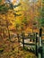 Vertical of a zigzag wooden stairs leading through a forest surrounded by orange leaves in autumn