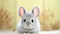 Very Adorable Portrait of a Baby Chinchilla AI Generated