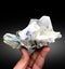 very beautiful Aquamarine var beryl with mica muscovite flower crystal mineral specimen from shigar valley Pakistan