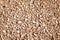 very beautiful background of crushed stone cream color