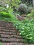 The very beautiful, barely known Greenwich steps, San Francisco, 2.