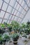 Very beautiful greenhouse with plants