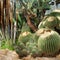 Very beautiful imposing cactus landscape in a greenhouse
