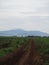 Very beautiful mountain view from a distance of 3 hours drive