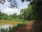 A very beautiful view of the village pond and the road