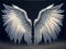 Very Beautiful White Angel Wings