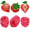 Very berry. Raspberry and strawberry , clipart ,isolated on white background.