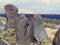 Very big upright grey-lilane lava stones at the roadside next to each other in front of the Atlantic coast