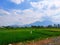 Very bright rural atmosphere in Garut, West Java