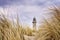 Very close to the dune grass with lighthouse in the background. WarnemÃ¼nde, Germany