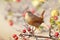 Very close up photo of eurasian wren sits on a branch