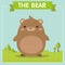 A Very Cute Brown Bear Character