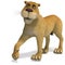 Very cute and funny female cartoon lion