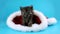 Very cute little kitten puts tenderly his paw, sitting in Santa Claus hat