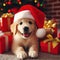 very cute little puppy wearing a santa hat