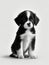 Very Cute Puppy Black and White