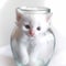 Very cute white kitten in a glass jar with ears peeping out