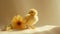 a very cute yellow chick standing against a captivating light monochromatic background, with a delicate flower nearby