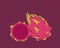 very delicious dragon fruit illustration with purple background