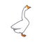 A very detailed, beautiful white swan illustration design. Isolated animal design