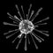 Very detailed illustration of the corona virus, bacteria. Microscope virus close-up. Medical illustration on a black