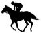 Very detailed vector of a jockey and horse