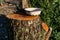 A very dirty old and metal enameled Cup, the plate stands on a brown sawn log with