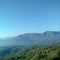 a very extraordinary combination of sky, mountain peaks and the top of the forest