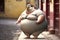 Very fat chick, created with Generative AI technology