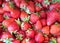 Very fresh strawberries picked from a garden and placed on a table.Healthy food.