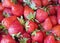 Very fresh strawberries picked from a garden and placed on a table.Healthy food.