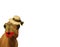 Very funny camel wearing makeup and a straw hat isolated on a white background