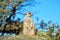 Very funny Meerkat Manor sits in a clearing at the zoo and bright blue sky and trees as blurry bokeh.