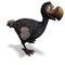 Very funny toon Dodo-bird