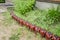 Very interesting flowerbed fence, made of brown two - liter plastic bottles