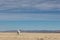 Very Large Array single radio astronomy dish alone in the desert, science technology space