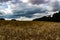 A very large French harvest fields of wheat