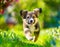 A very little puppy is running happily with floppy ears through a garden with green grass