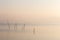A very minimalistic view of a lake at dawn, with soft light and