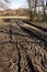 Very muddy rural road with the tractor traces