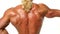 Very muscular back guy on white background