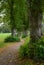 Very narrow lime tree avenue or allee with a winding footpath in Warin, Mecklenburg-Western Pomerania, Germany