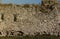 Very old brick stone wall of castle or fortress of 18th century. Full frame wall with obsolete dirty and cracked bricks