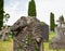 An very old broken statue of Mary old cemetery. Overgrown with ivy concept death, religion